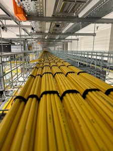 31de6bfd-0100-4a3d-8281-5d608e298919